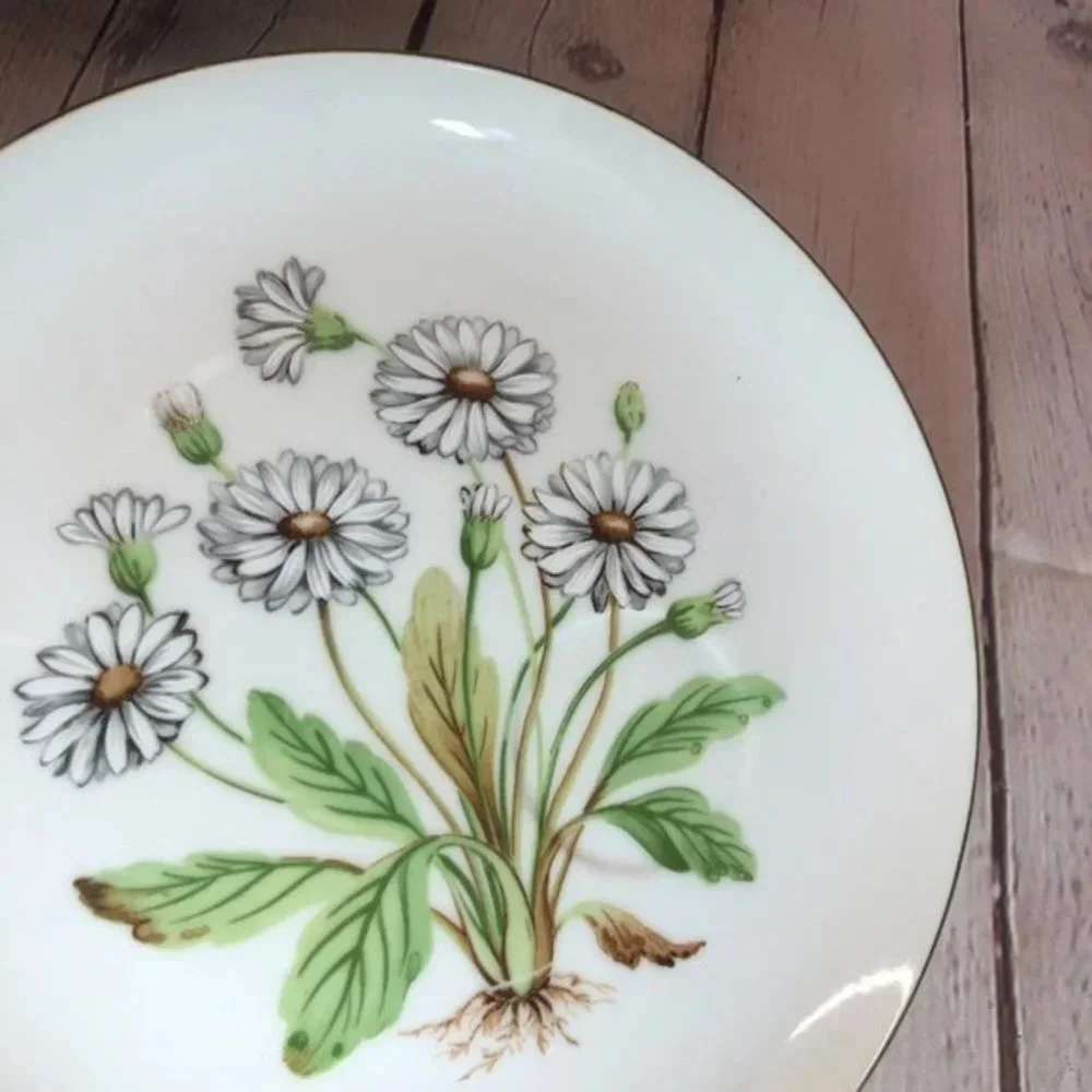 Vintage hand painted daisy plate